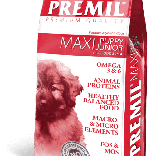 Maxy puppy junior Maxy puppy junior